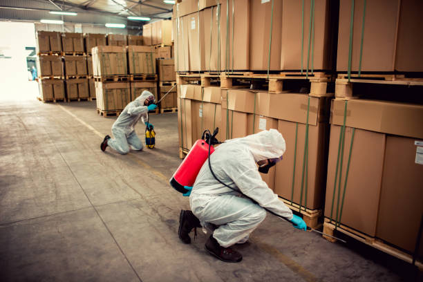 Best Termite Control Services  in Gulfport, FL
