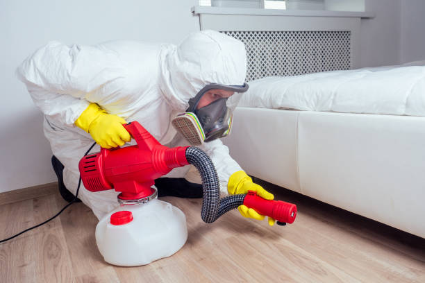 Best Emergency Pest Control  in Gulfport, FL