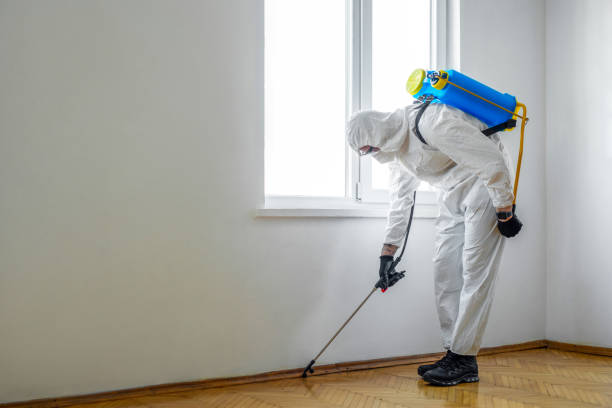 Best Best Pest Control Companies  in Gulfport, FL