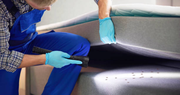 Best Mosquito Control Services  in Gulfport, FL