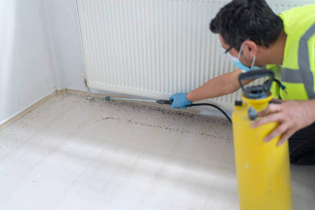 Best Residential Pest Control  in Gulfport, FL